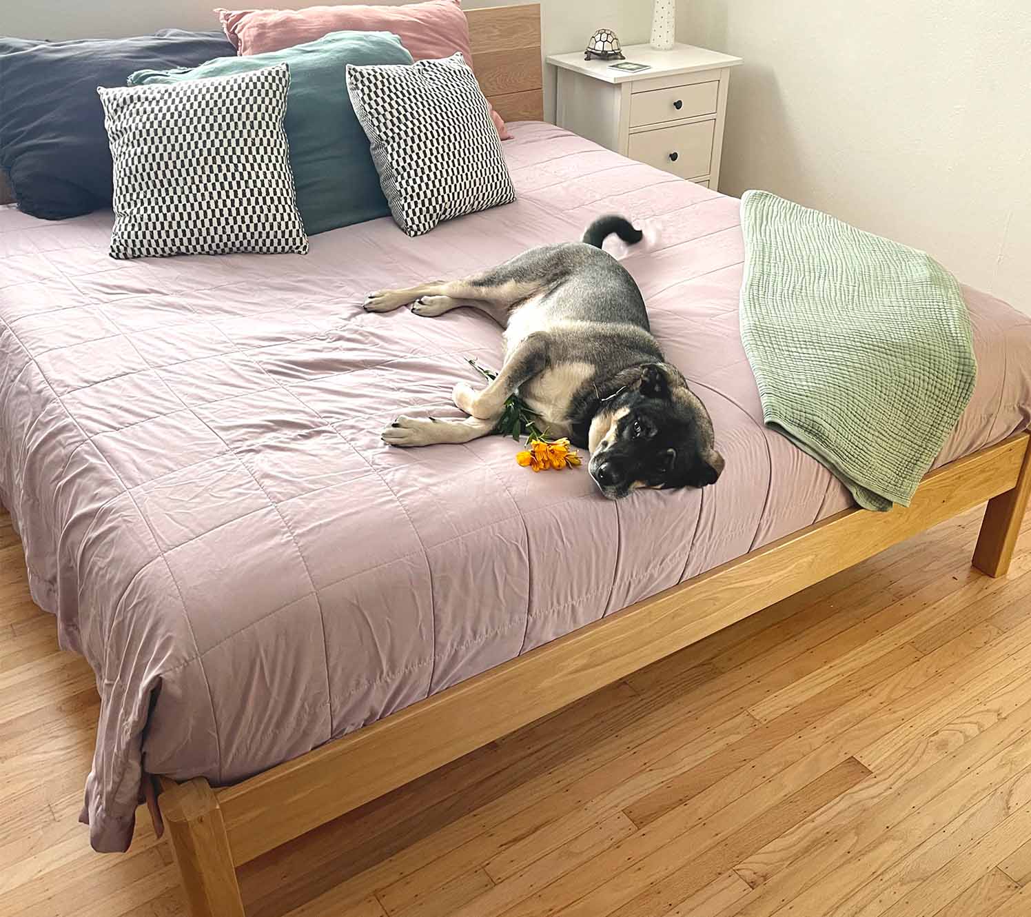 Warm woods for master bedroom styles